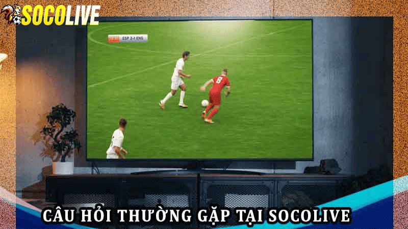 Những câu hỏi thường gặp trên kênh Socolive trực tiếp bóng đá Những câu hỏi thường gặp trên kênh Socolive trực tiếp bóng đá